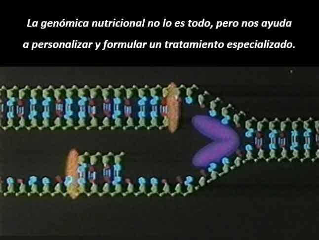 DR. NATURISTA ÁNGEL AUGUSTO RAMÍREZ