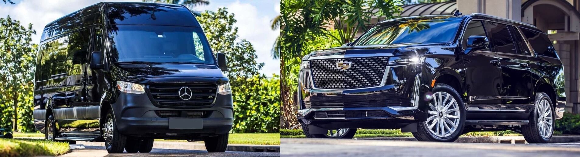 Party Bus chula vista