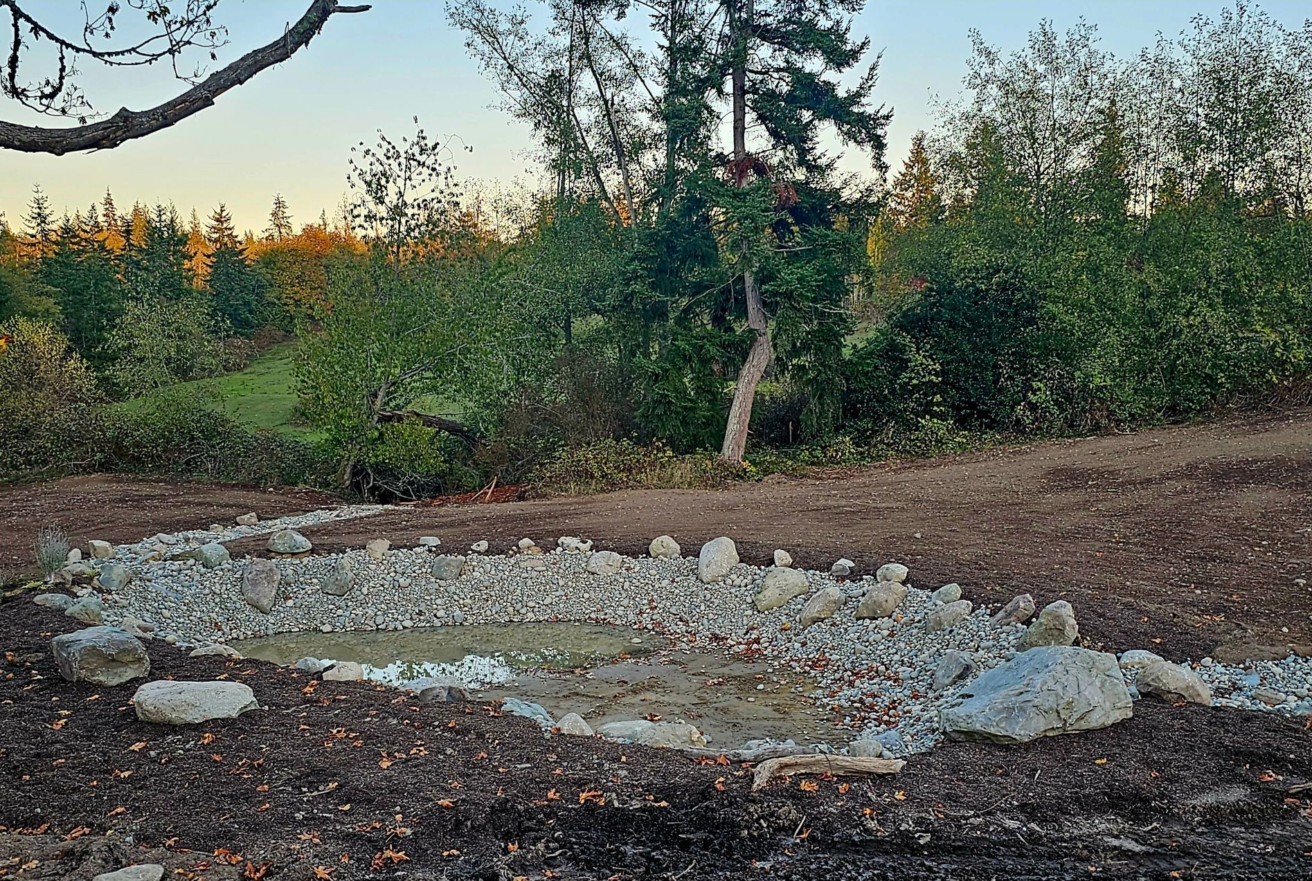 Gravel-lined, muddy depression in a clearing. Surrounding is bare dirt, foliage, and trees. Sky shows hints of sunset.