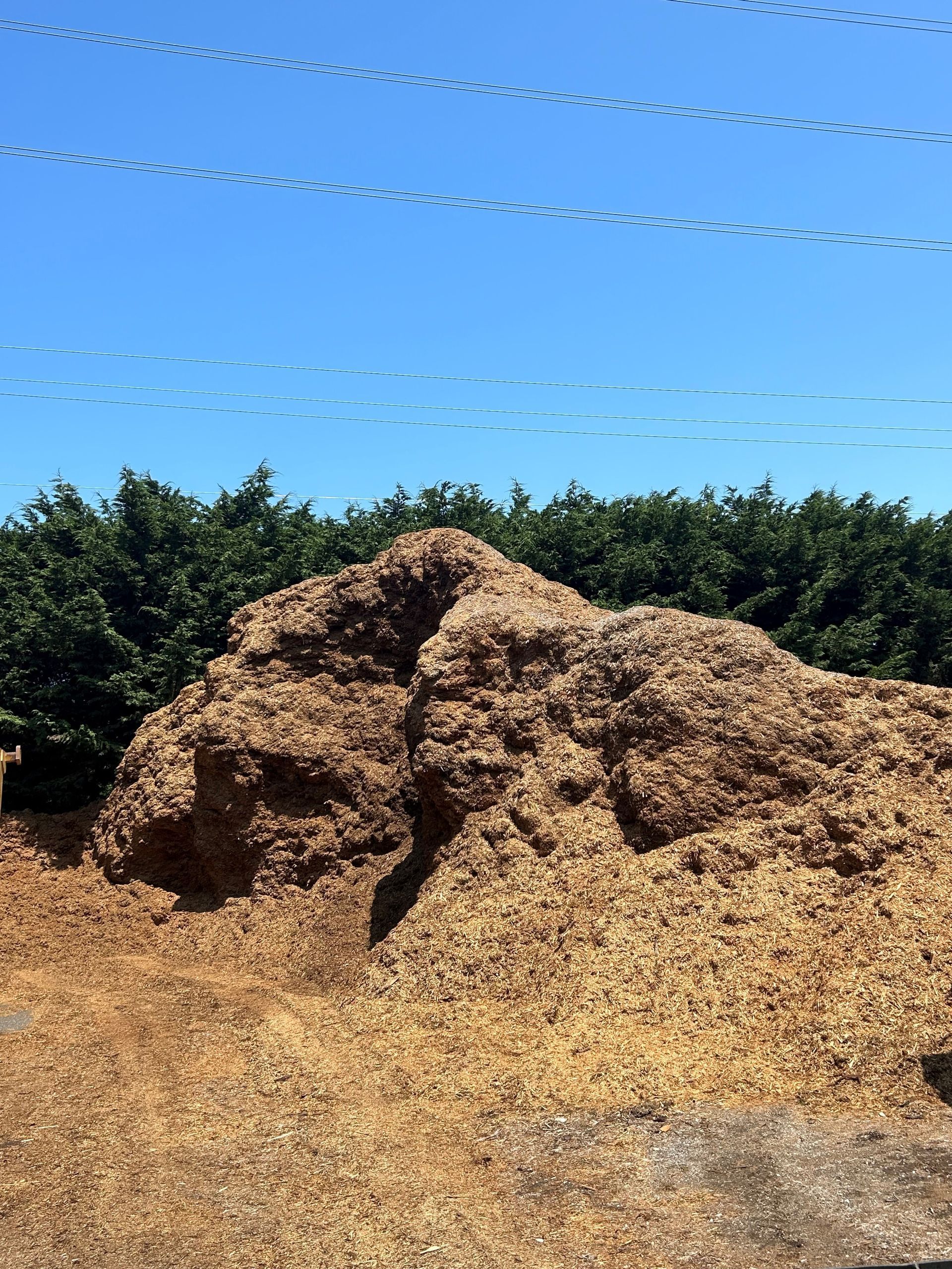 Pile of wood chips against a backdrop of trees and a blue sky.