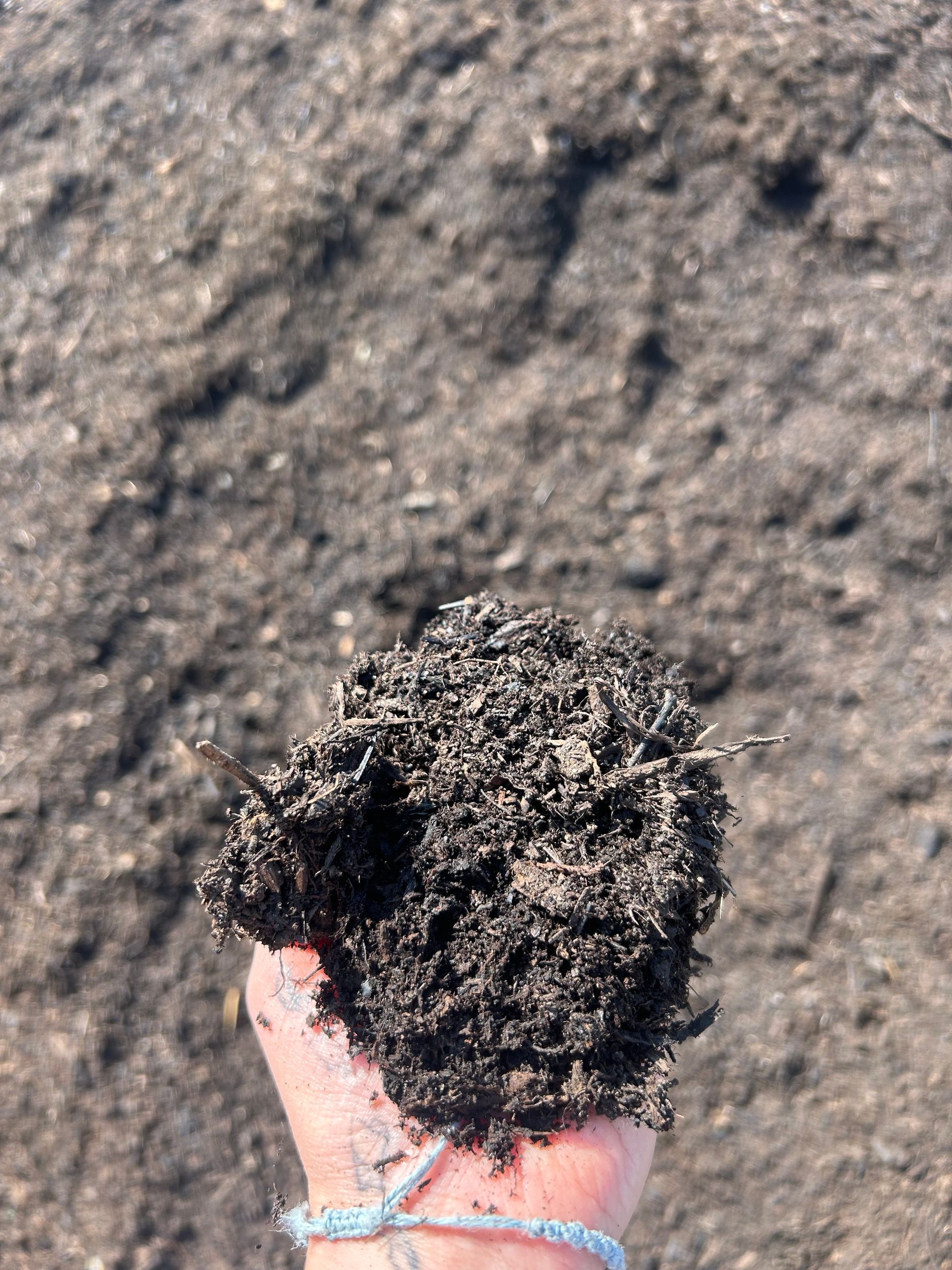 Handful of dark soil, outdoors.