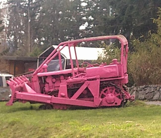Pink bulldozer parked on grass with a rock wall and trees in the background.