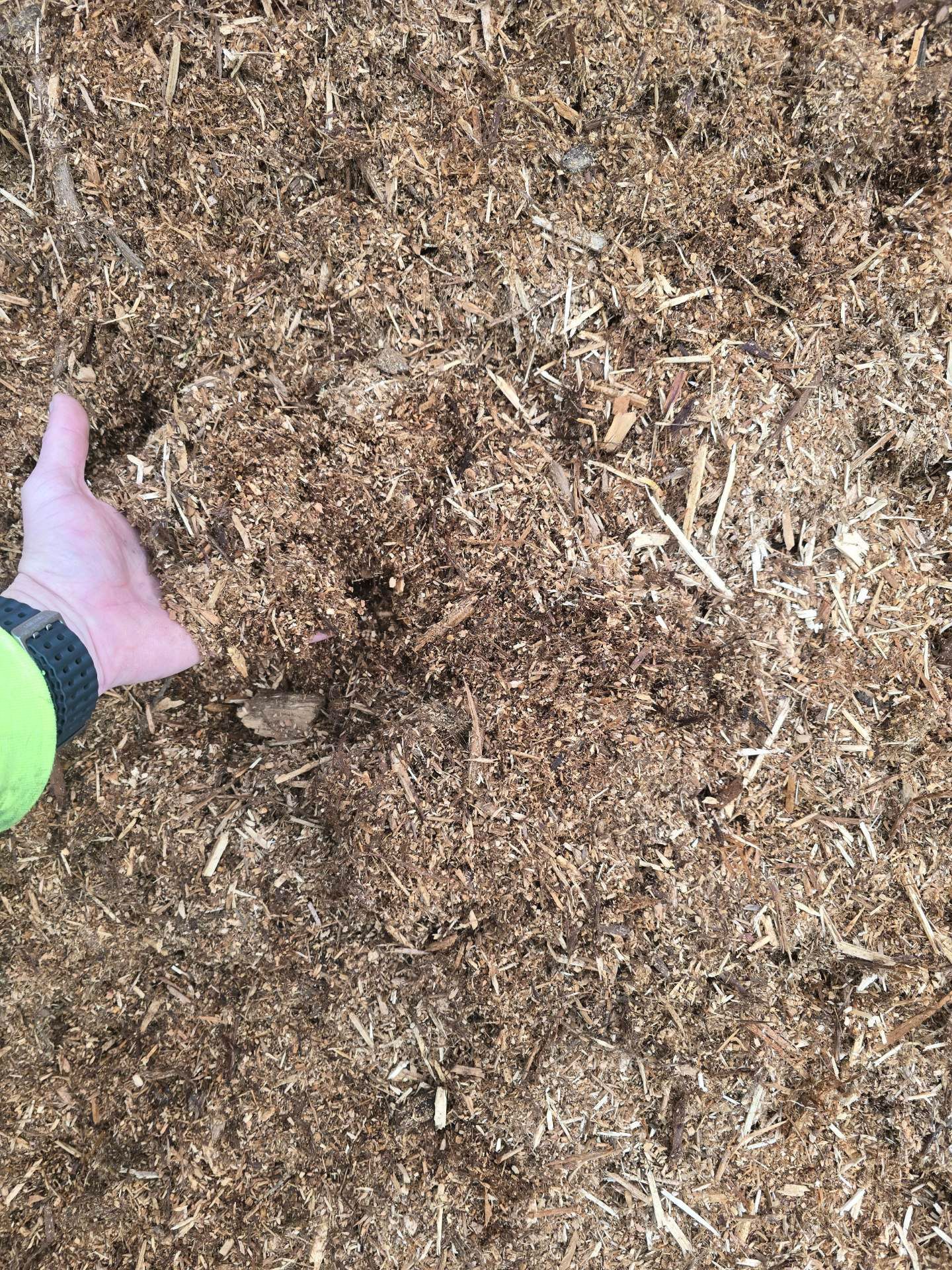 Pile of wood chips against a backdrop of trees and a blue sky.