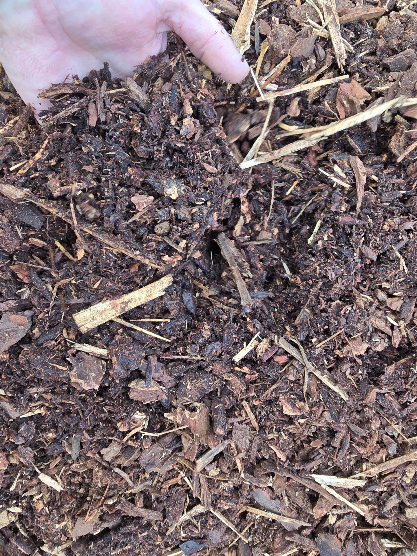 Close-up of brown mulch with a metal ruler laid across it for scale.
