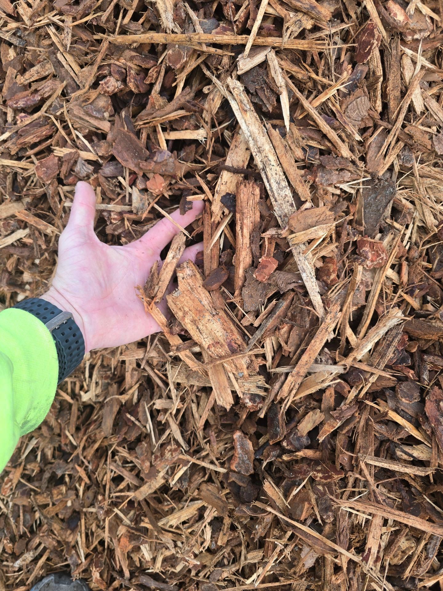 Brown wood mulch with a metal ruler for scale.