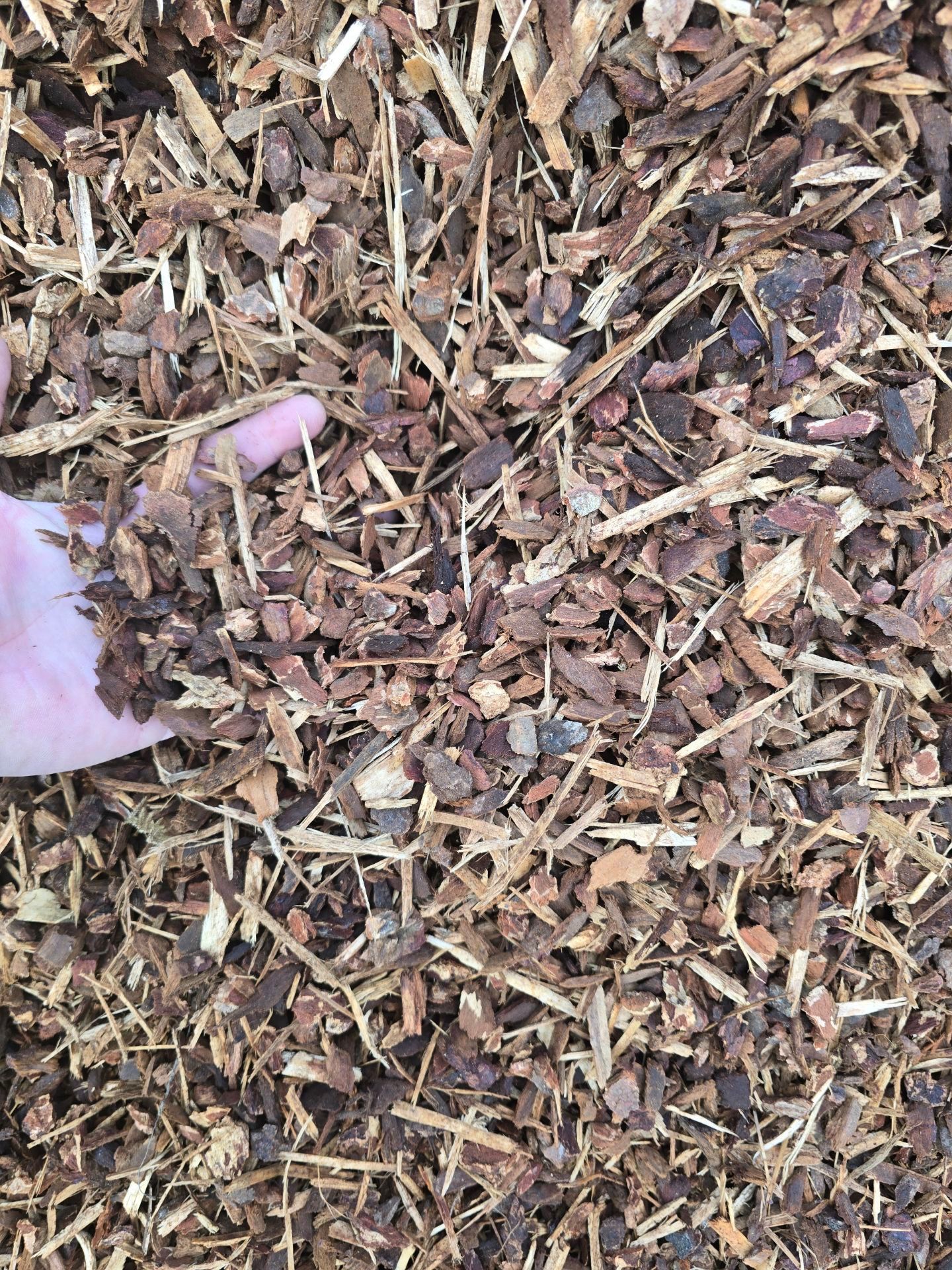 Brown mulch with a ruler, close-up shot.