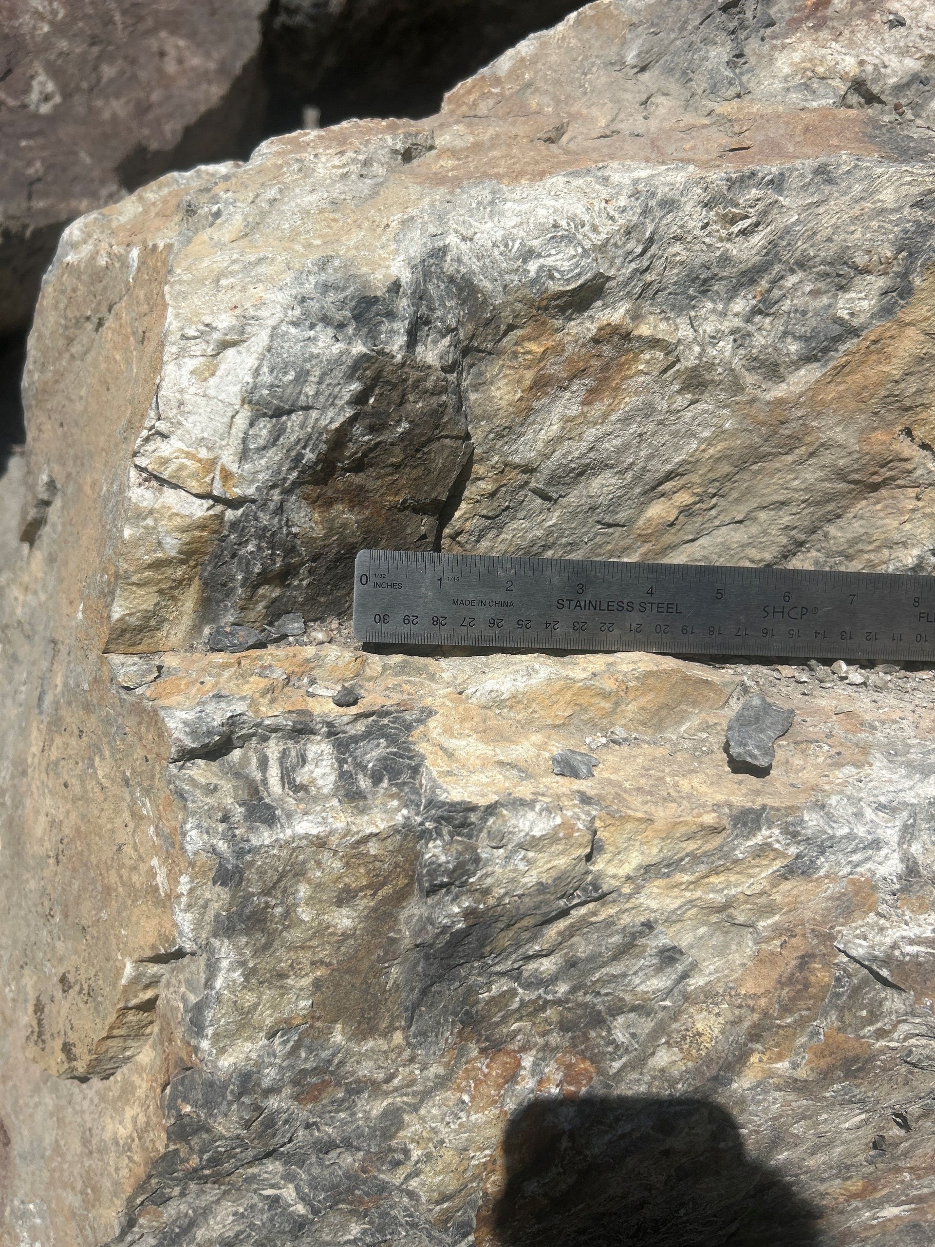 Close-up of a large, rough rock with a ruler for scale, showing various colors and textures.