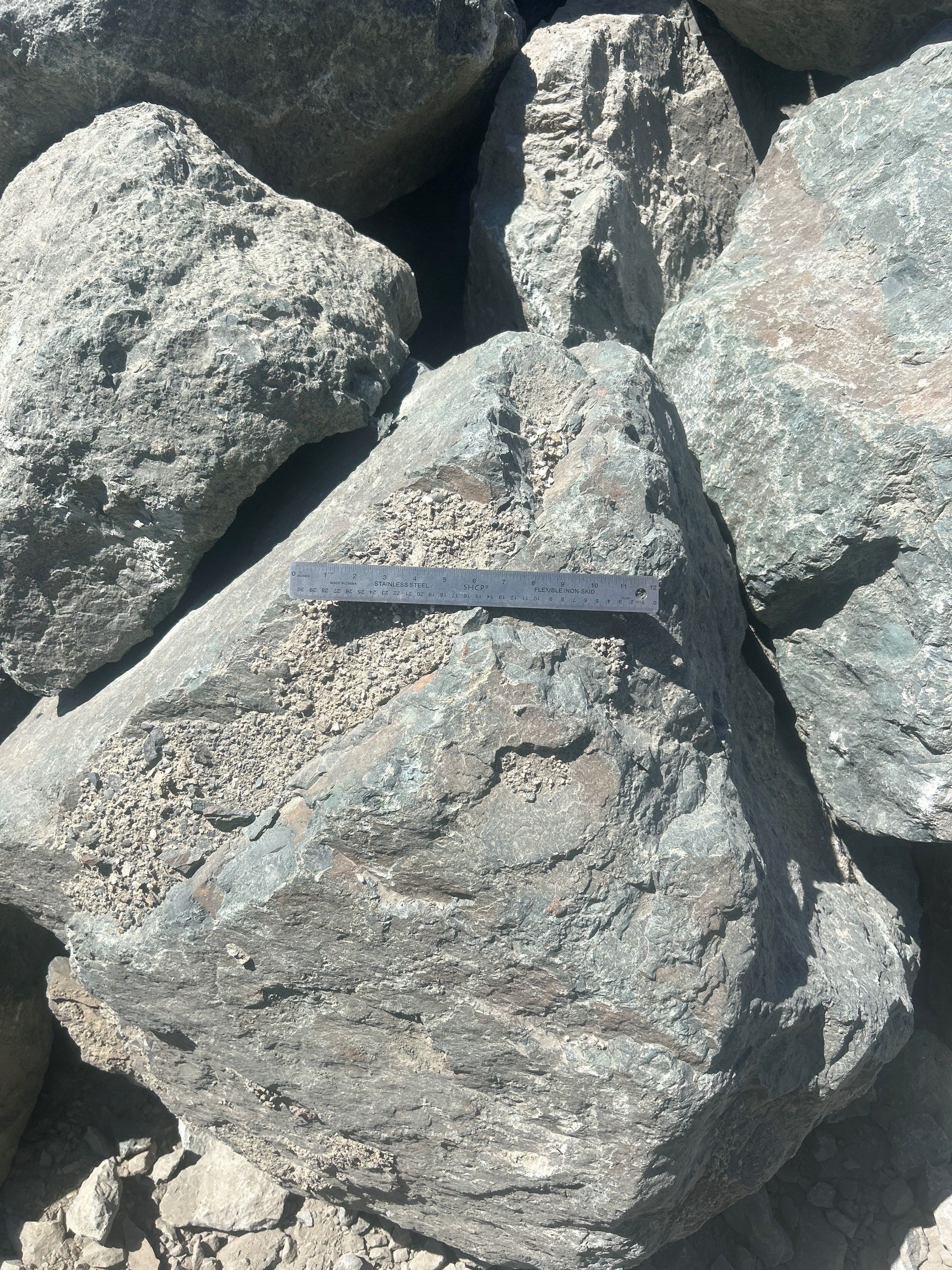 Gray rock with a lighter colored granular patch, ruler for scale.