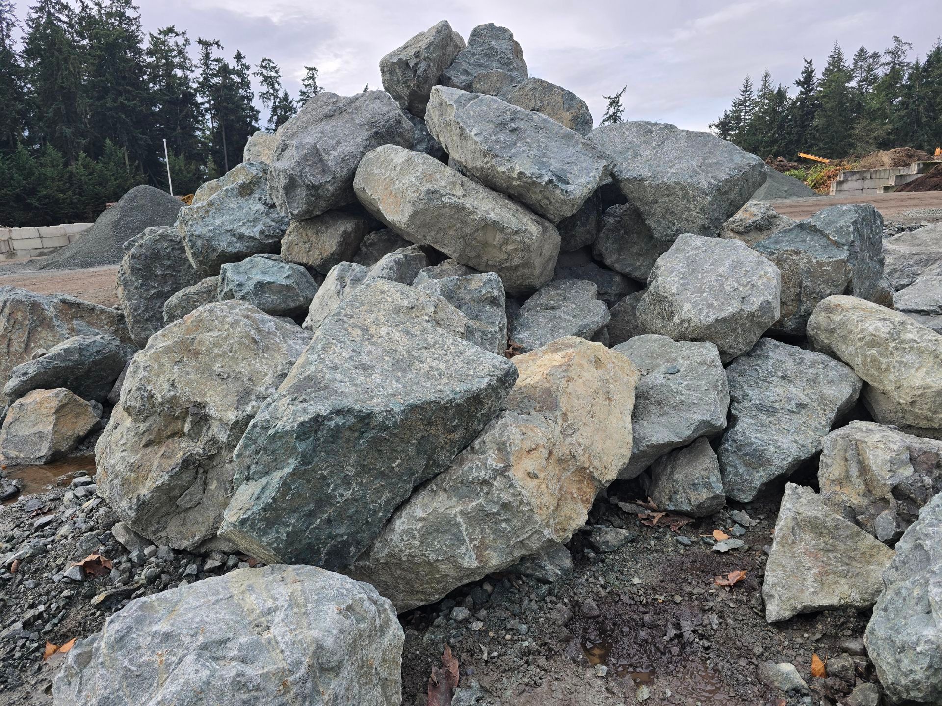 Gray rock with a lighter colored granular patch, ruler for scale.