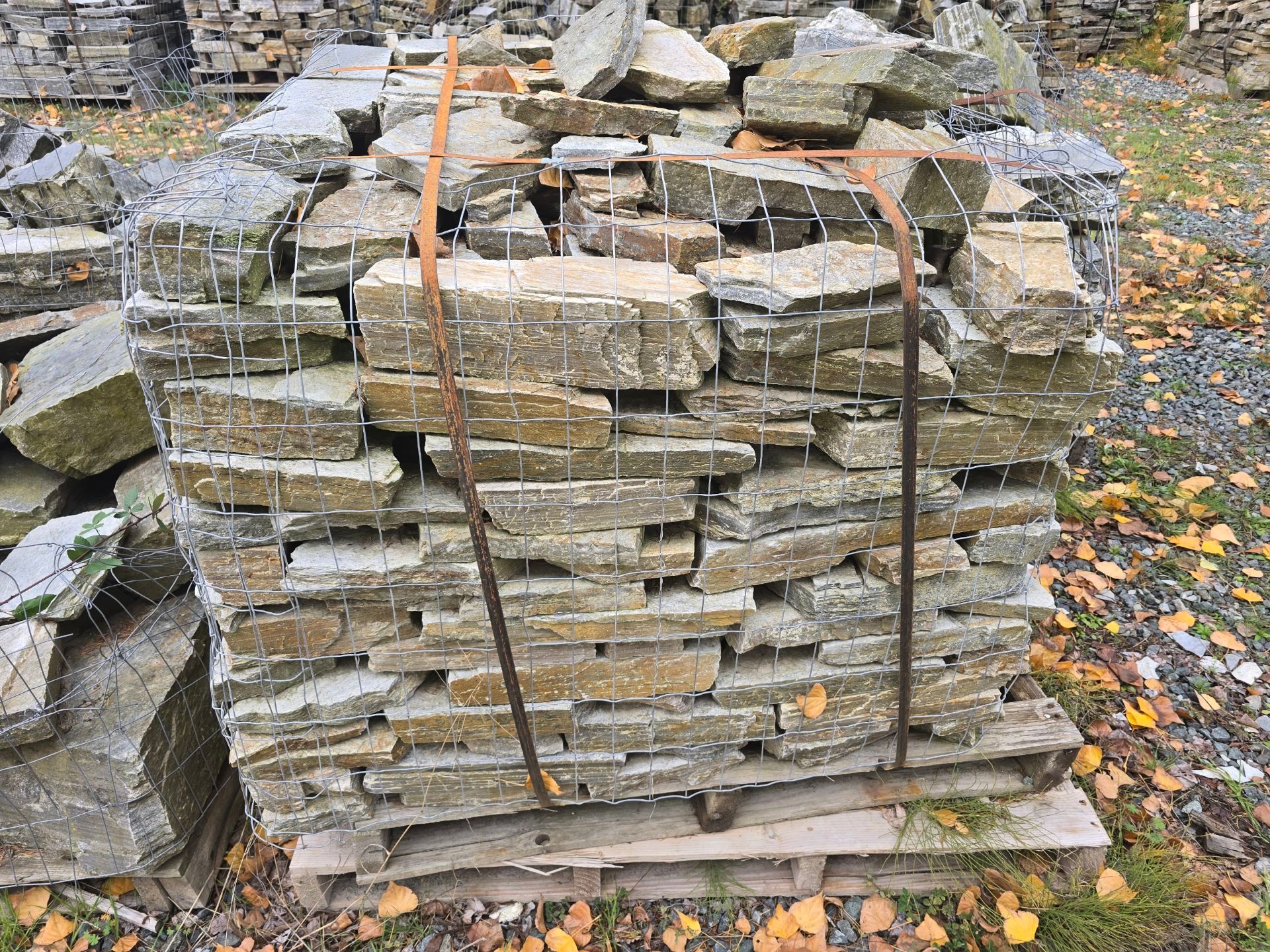 Two people on a white Mack truck, smiling. Trees in the background. 