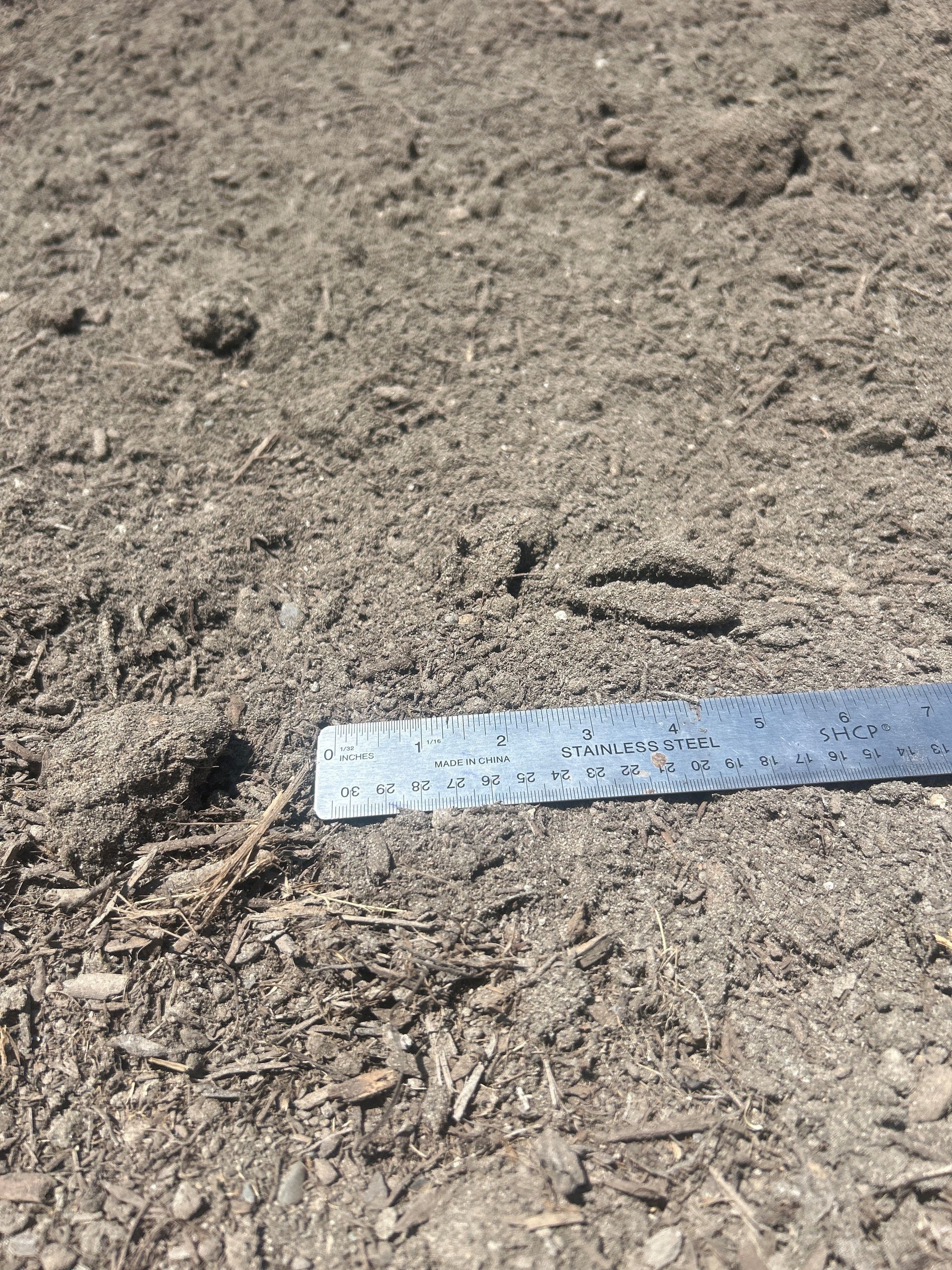 Brown mulch with a metal ruler placed horizontally.