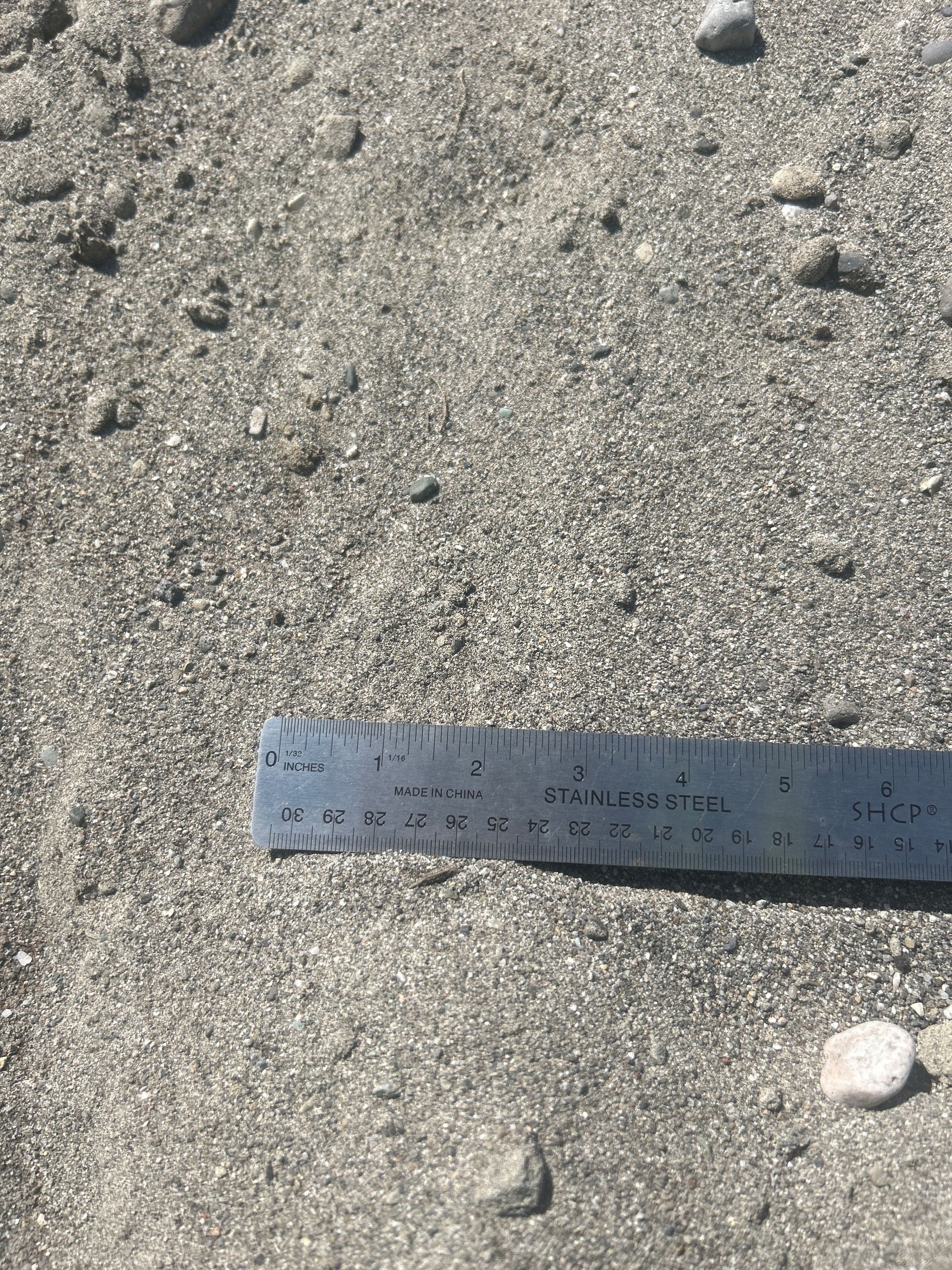 Close-up of gravel-like material with a metal ruler laid across it, suggesting scale.