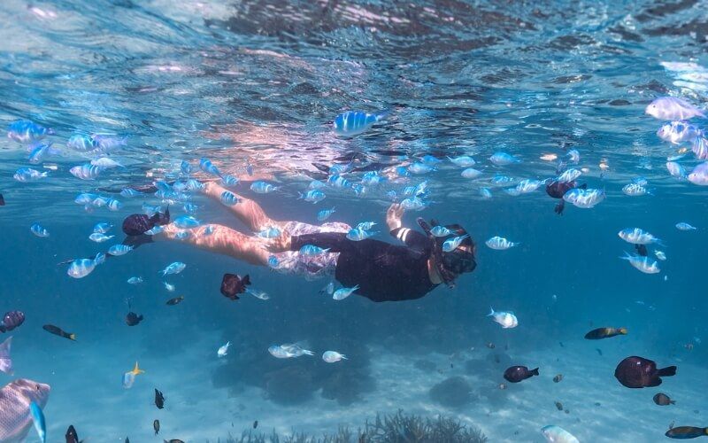 More than just Snorkeling