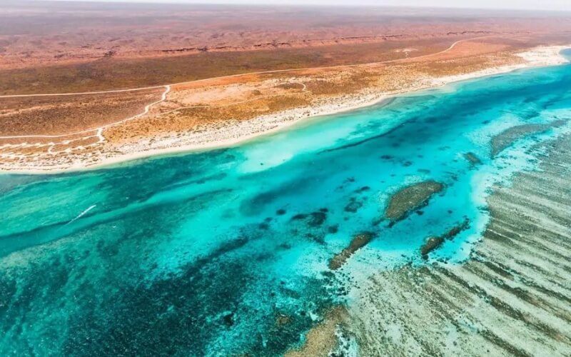 Ningaloo Reef at Your Doorstep
