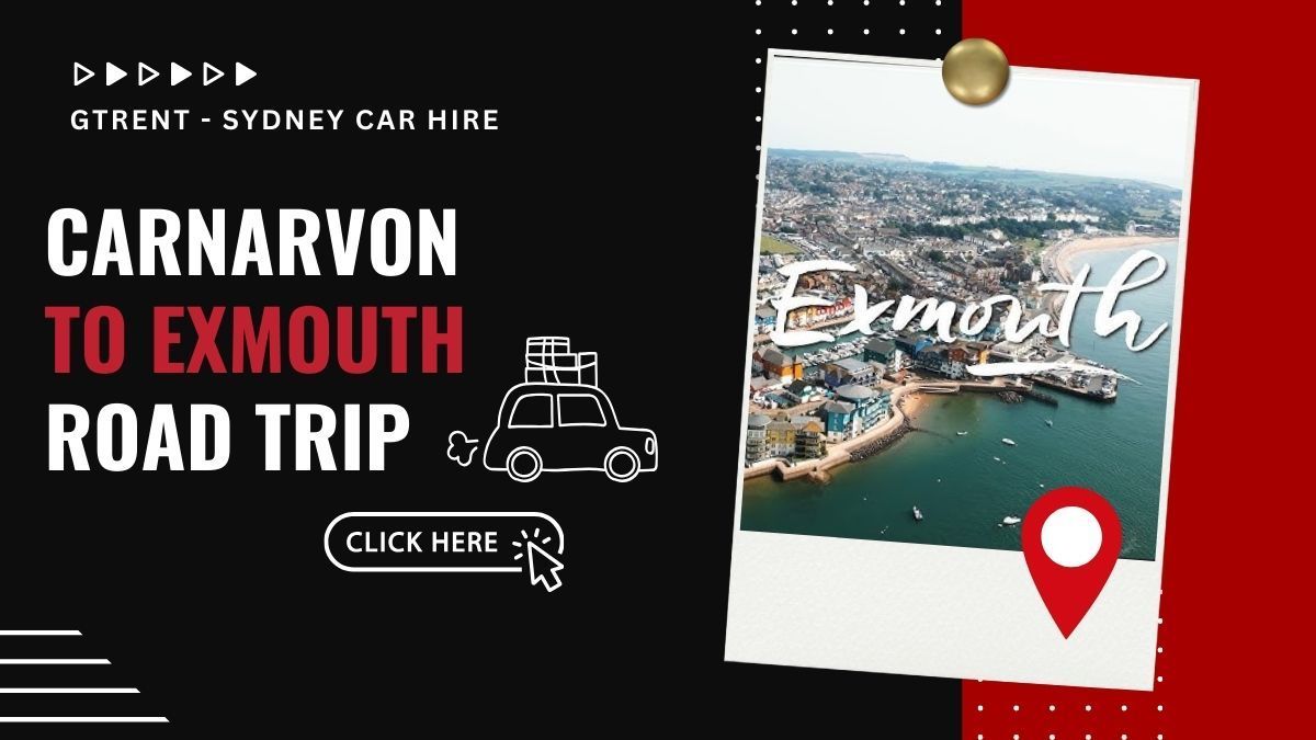 Carnarvon to Exmouth Road Trip