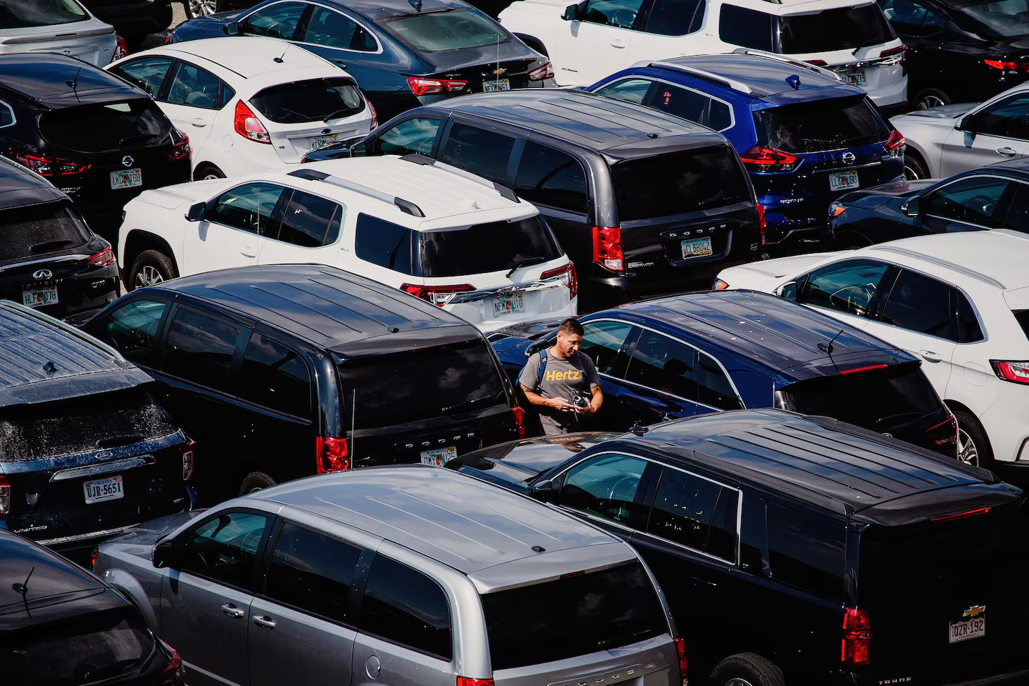 Busy Sydney car rental location with families picking up vehicles during school holiday rush