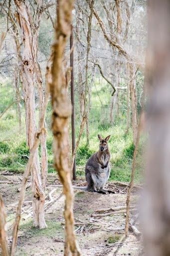 Best Views from Sydney’s Parks
