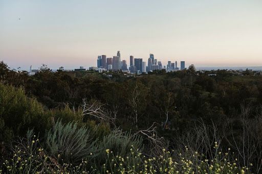 Discover Sydney's Roots: Top Historical Sites You Can't Miss