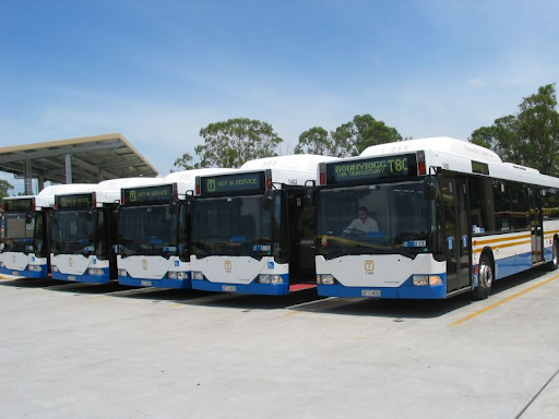 Exploring by Bus and Ferry
