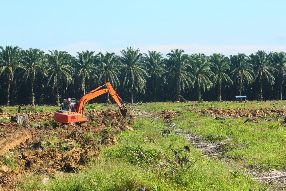 Excavator Land Clearing — Excavation in Bellingen, NSW