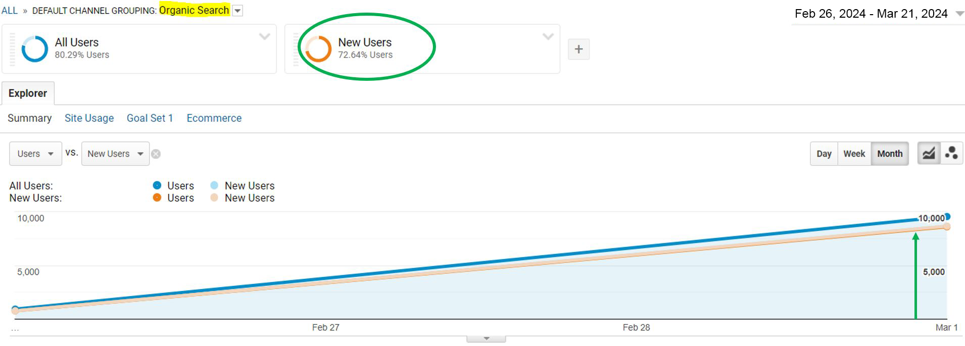 SEO Marketing Success Graph