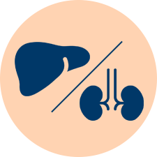 liver and kidney transplant graphic icon