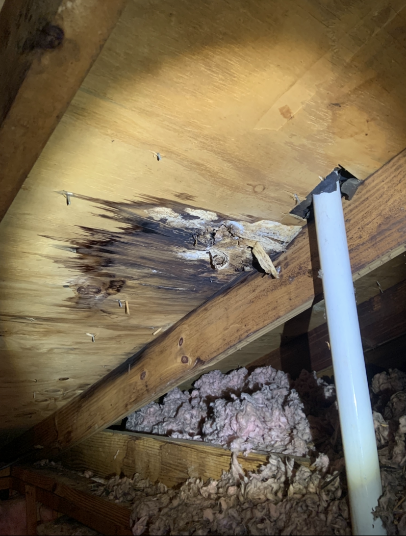 Water damage and mold on attic plywood ceiling. A support pole and insulation are visible.