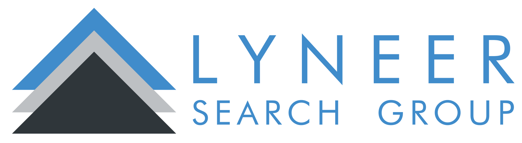 A logo for a company called lyneer search group