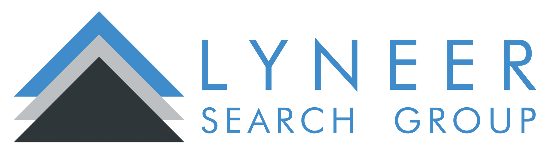 A logo for a company called lyneer search group