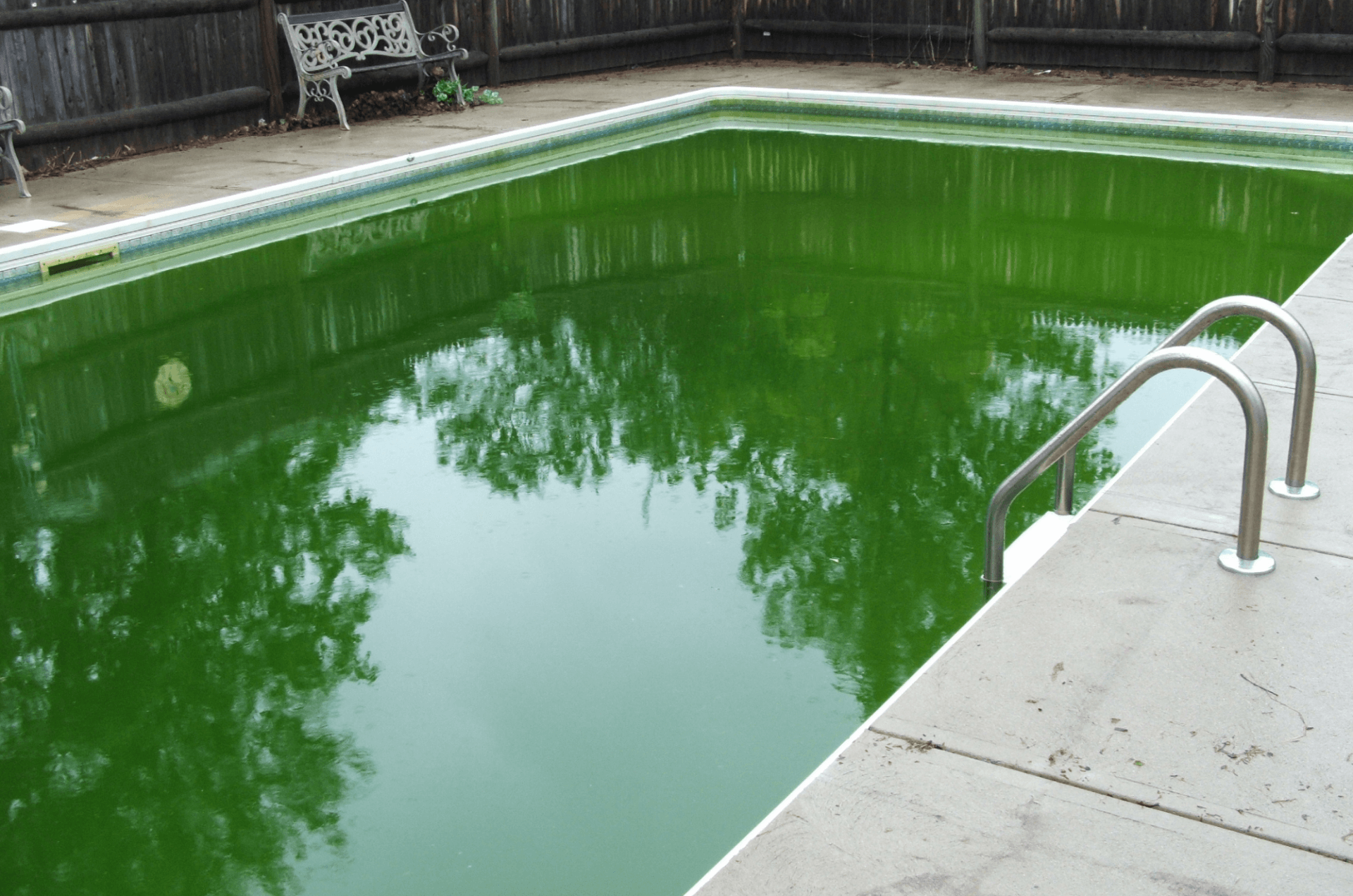 Green pool water treatment St Pete