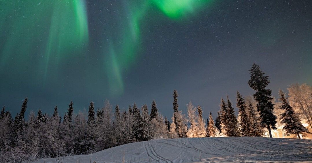 Vibrant green aurora borealis illuminates the night sky over a snow-covered hill with a forest of frost-dusted trees.