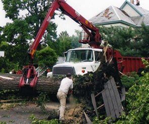 Road with Tree — Lawn Care in Jacksonville, IL