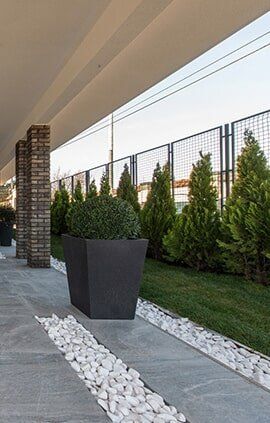 Rocks — Seeds/Bulbs in Jacksonville, IL