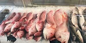 Fish on Ice - Market in Lakeland, FL
