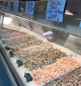 Fresh shrimps for sale - Lakeland, FL