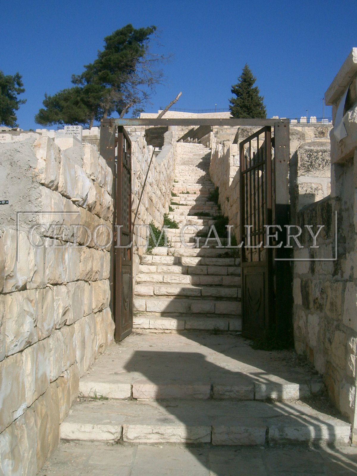 A stone wall with stairs and a gate that says gallery on it