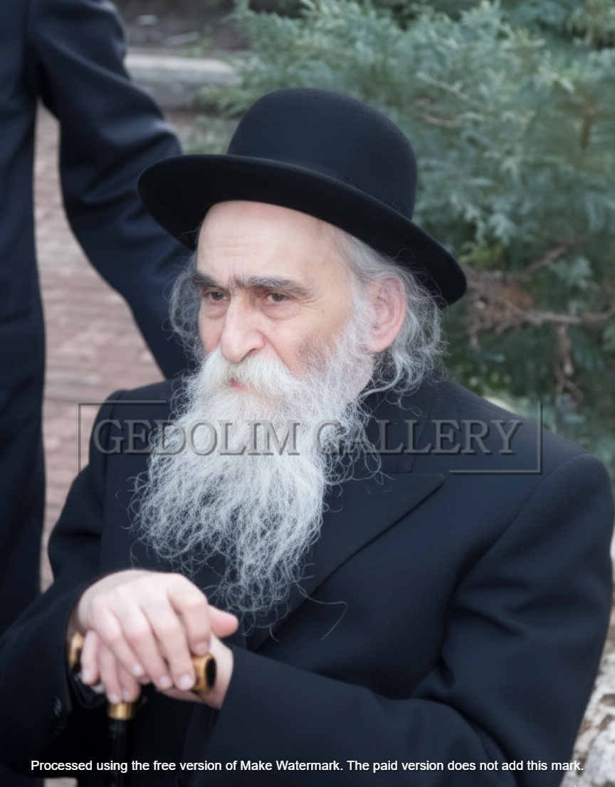 Harav Dovid Soloveitchik #2