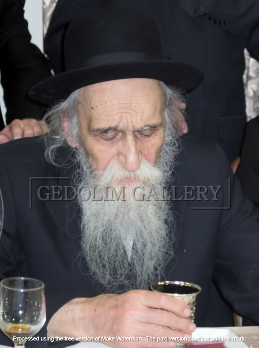 HaRav Dovid Soloveitchik