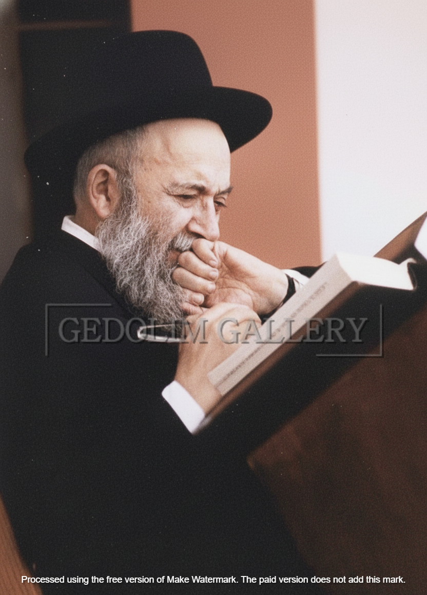HaRav Elya Svei
