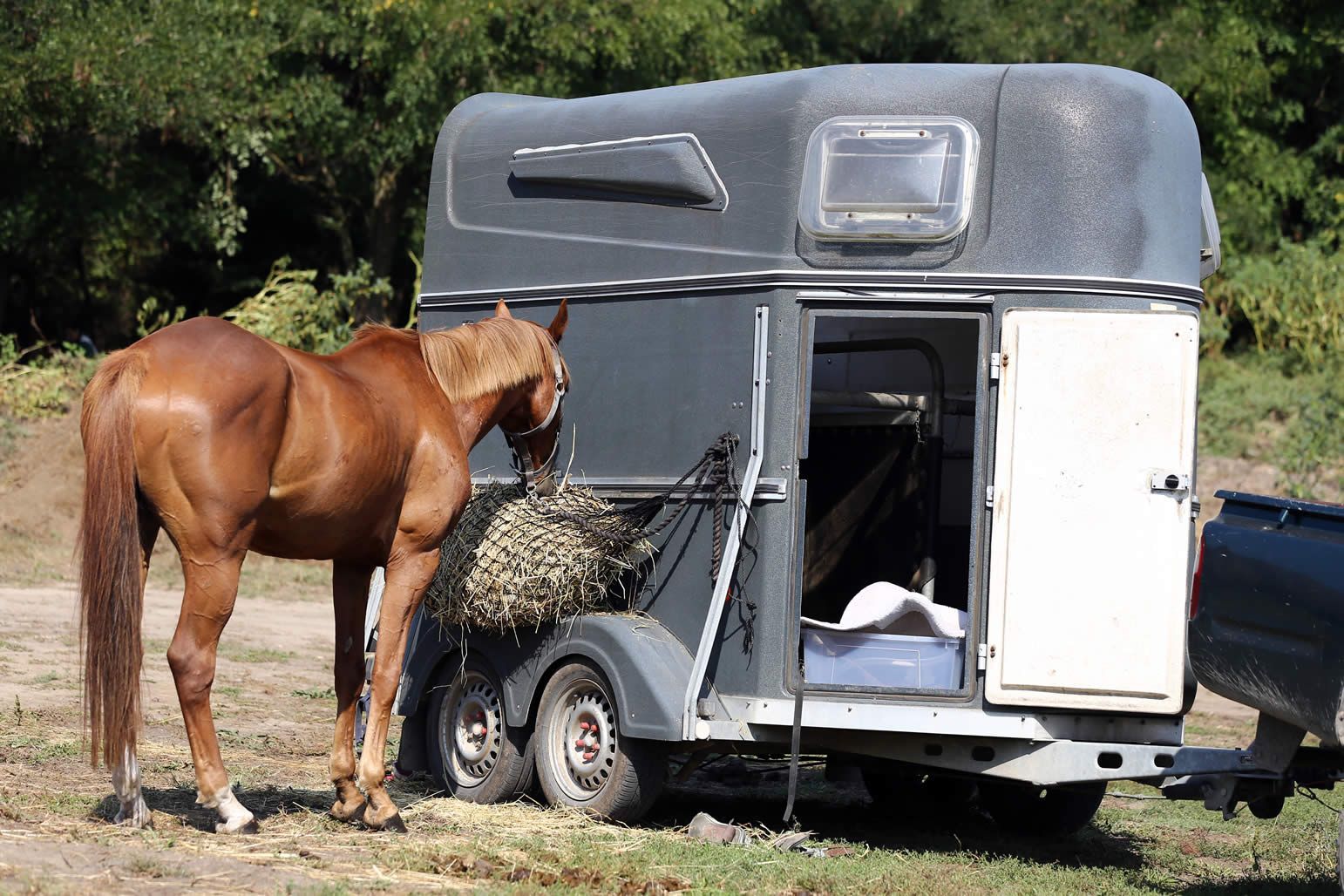 Preparing Your Horse Box for Summer Adventures