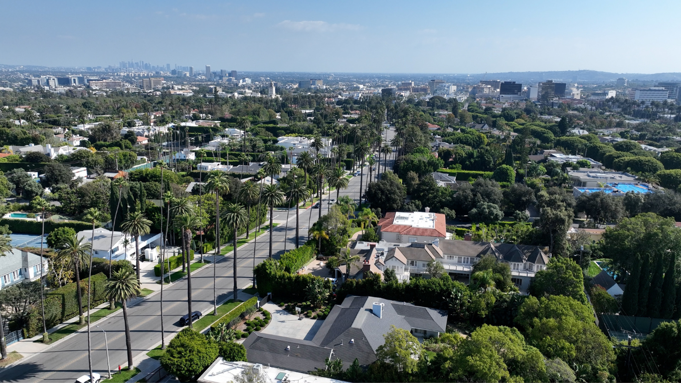 Aerial view of a Los Angeles street lined with tall palm trees, houses, and green foliage, with city skyline in the distance.