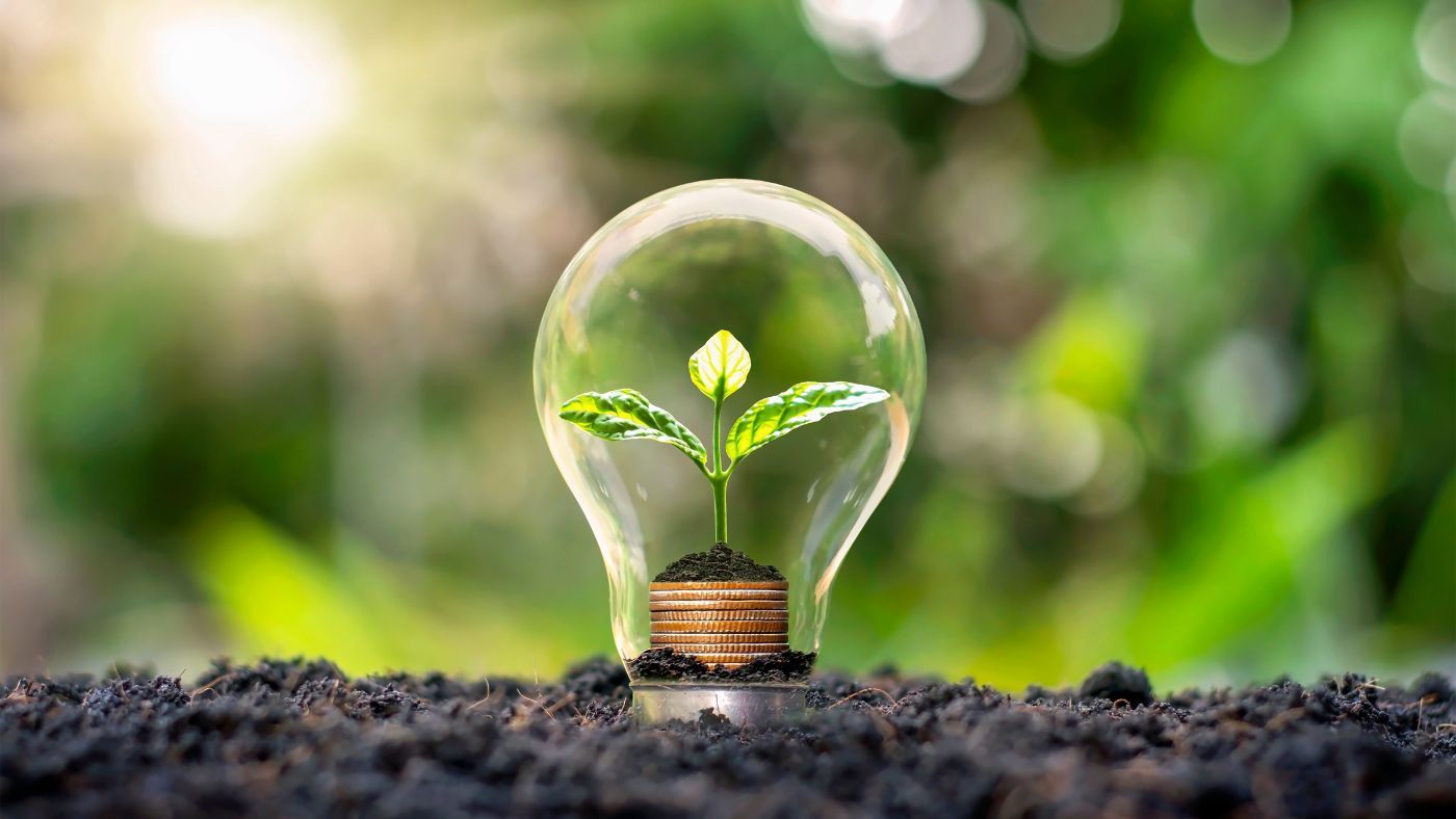 Light bulb planted in soil with a growing plant and money, symbolizing energy savings and efficiency