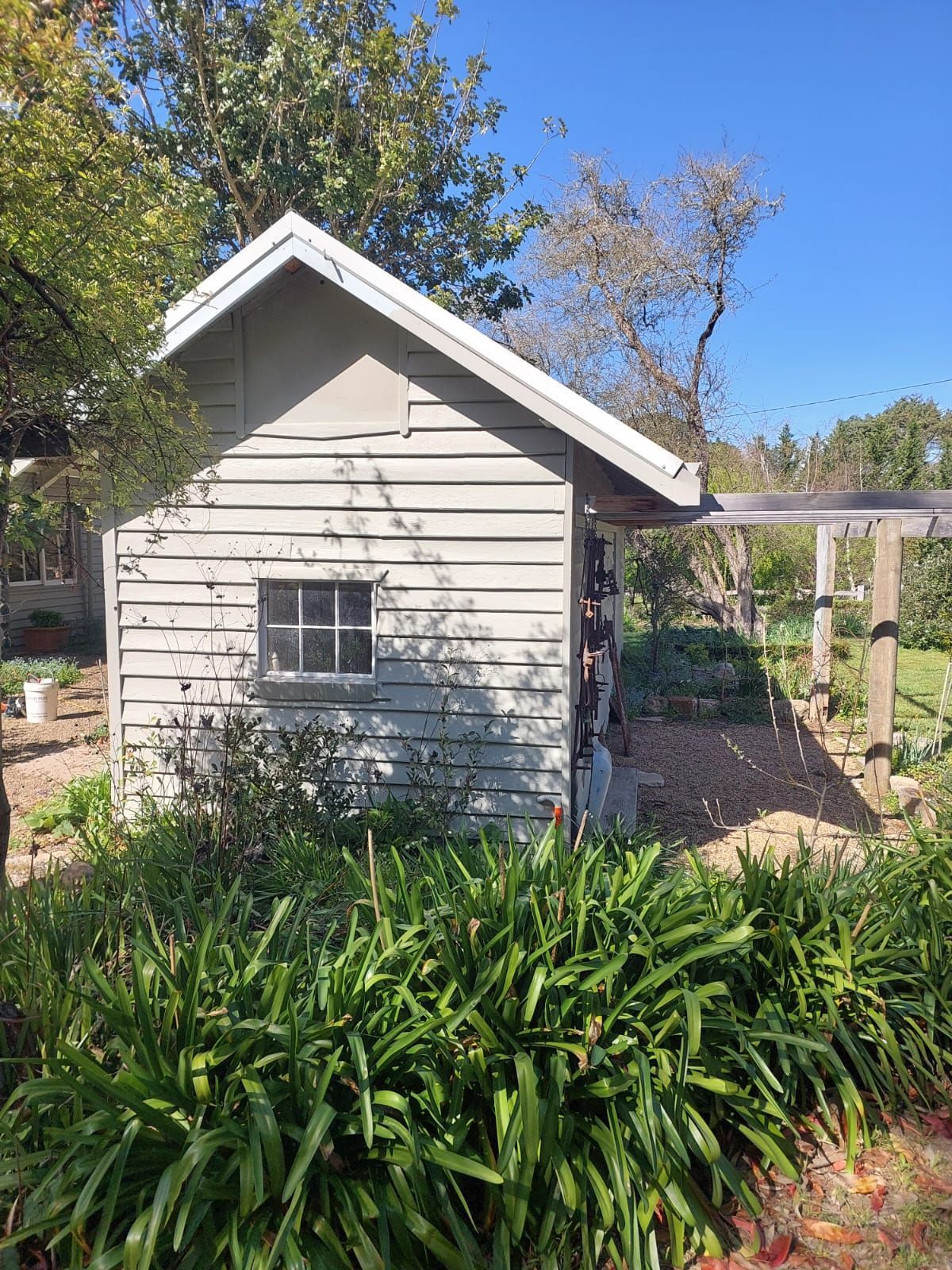 Small, Weathered Shed With a Single Window, Surrounded by Green Plants in a Garden Setting, Under a Blue Sky — Elimar Construction in Goulburn, NSW