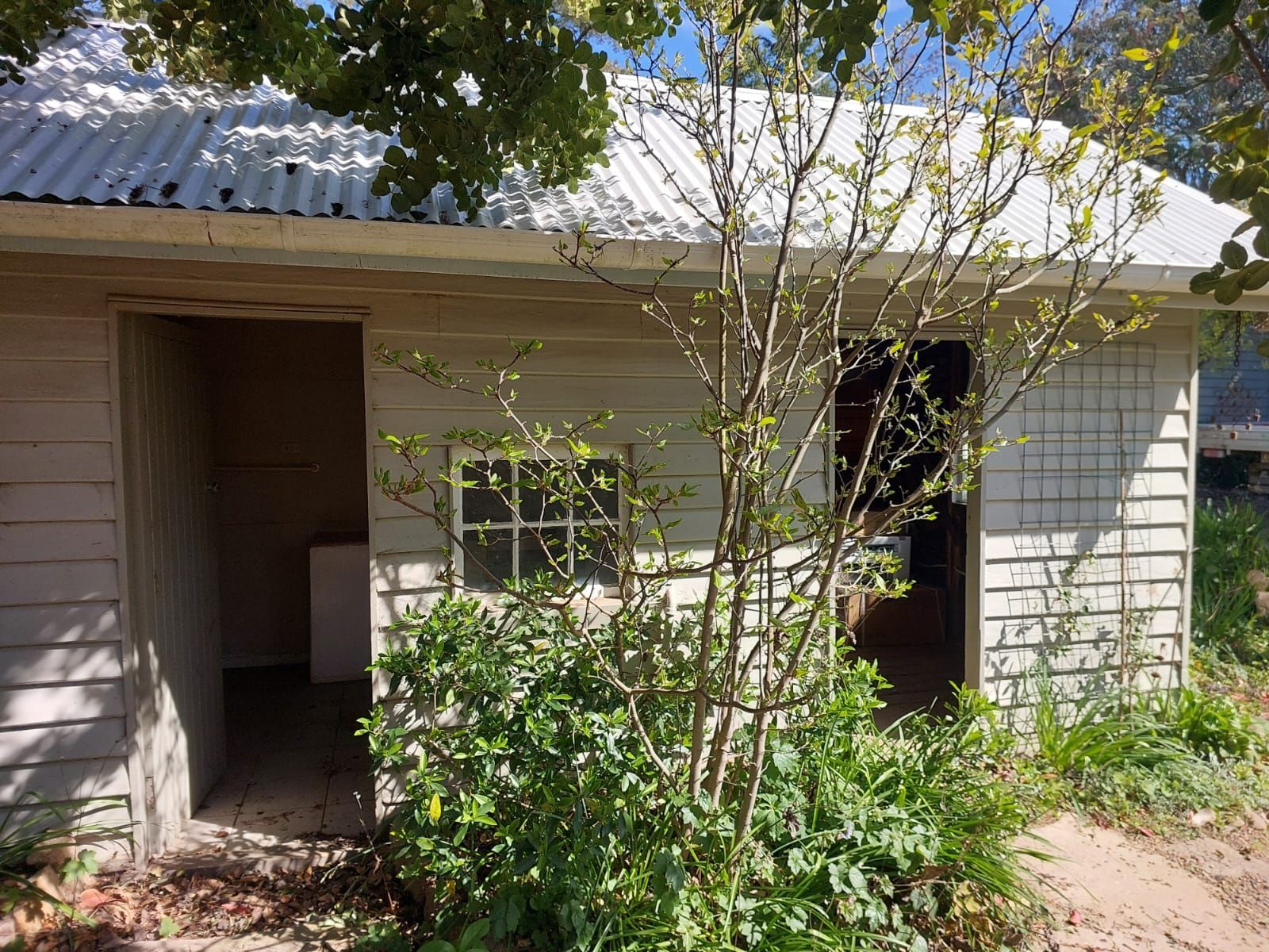 Gray Shed With an Open Door, Surrounded by Greenery — Elimar Construction in Goulburn, NSW