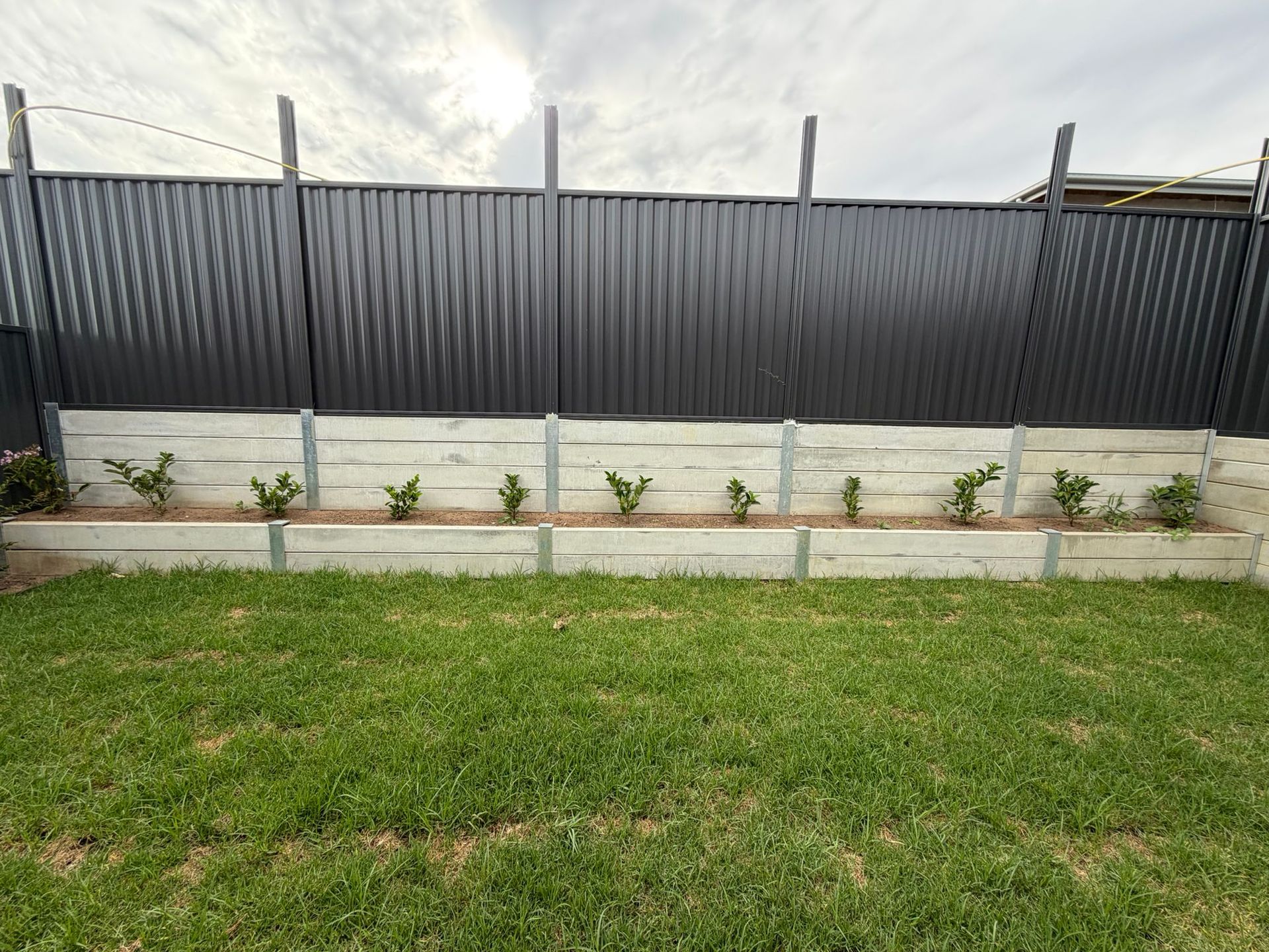 Small landscaped garden bed with young shrubs, concrete border, black fence, and grassy lawn — Elimar Construction in Goulburn, NSW