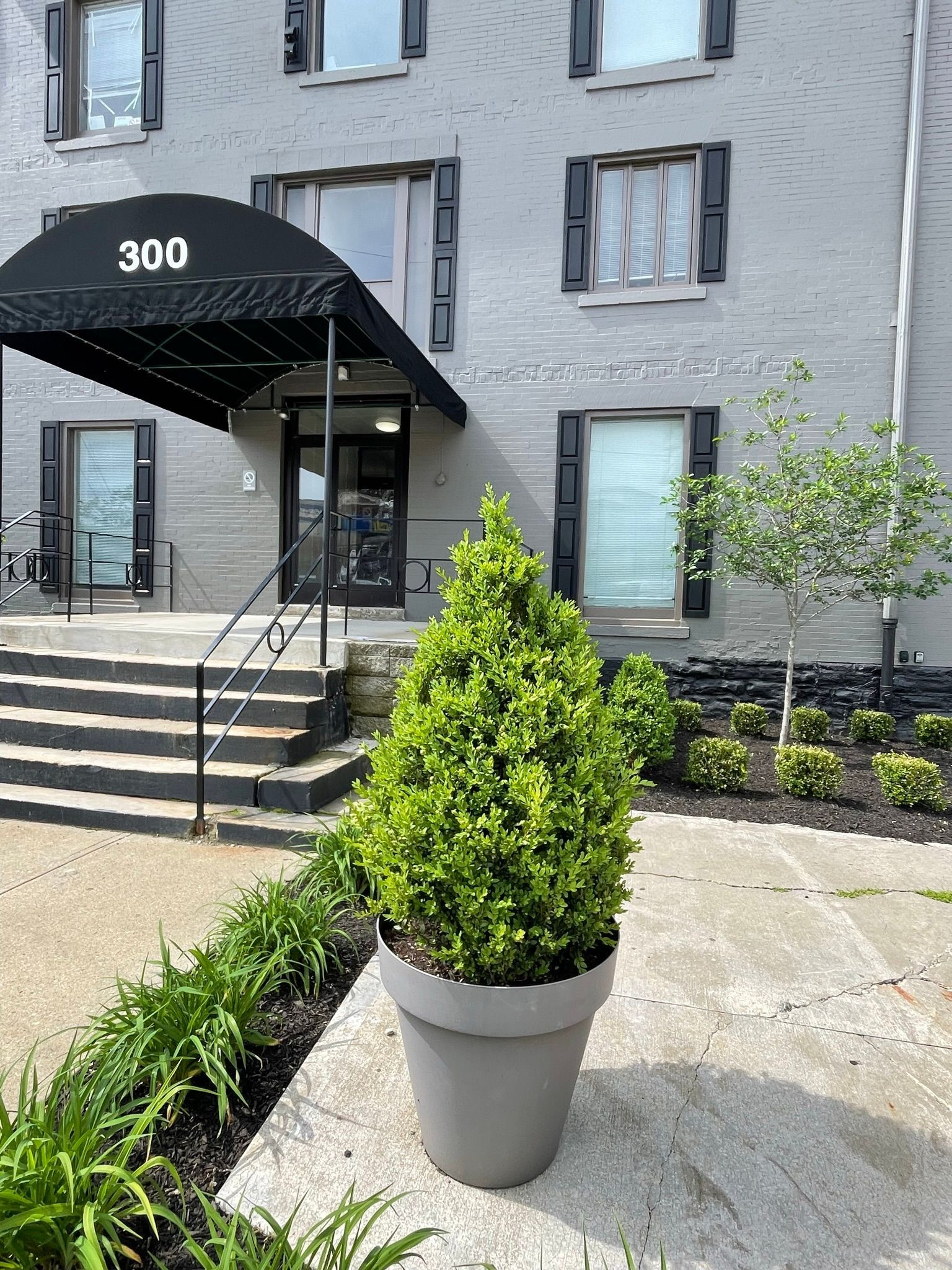 Building entrance with black awning, steps, and a large potted plant.