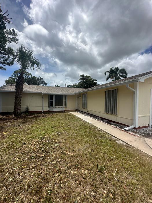 White House With A Palm Tree