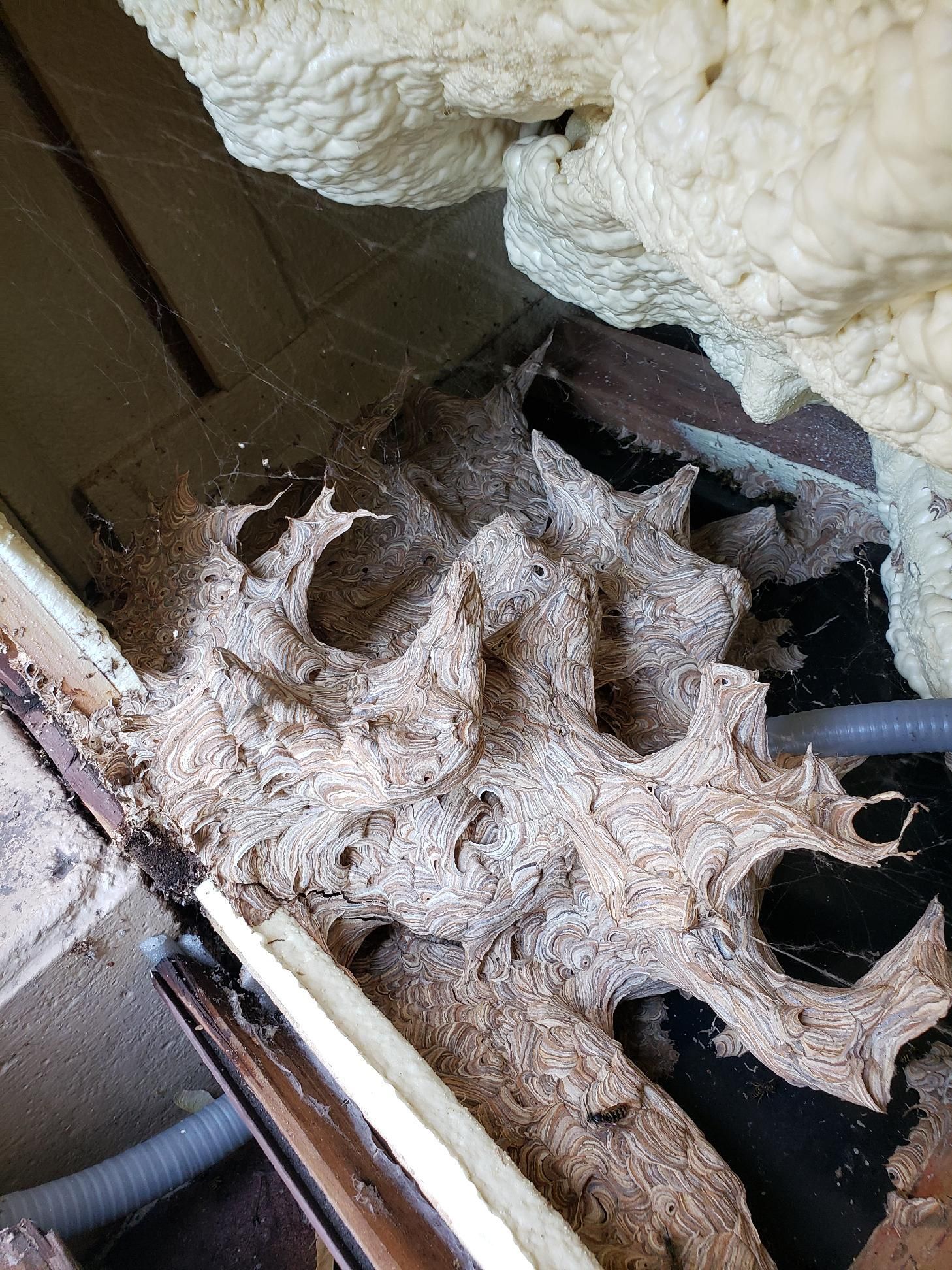 A house with a white garage door and a porch