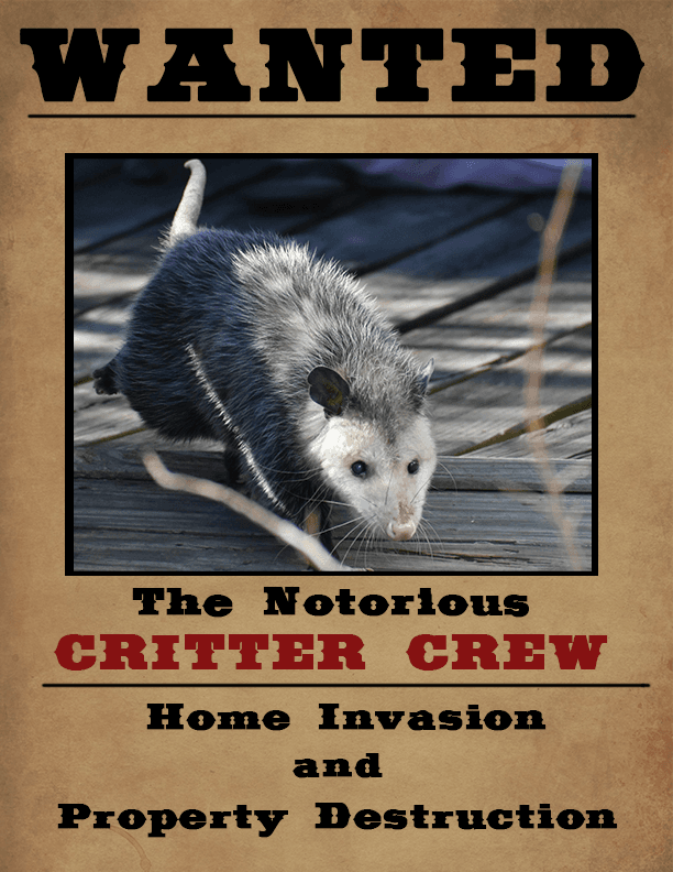 Wanted poster with opossum.