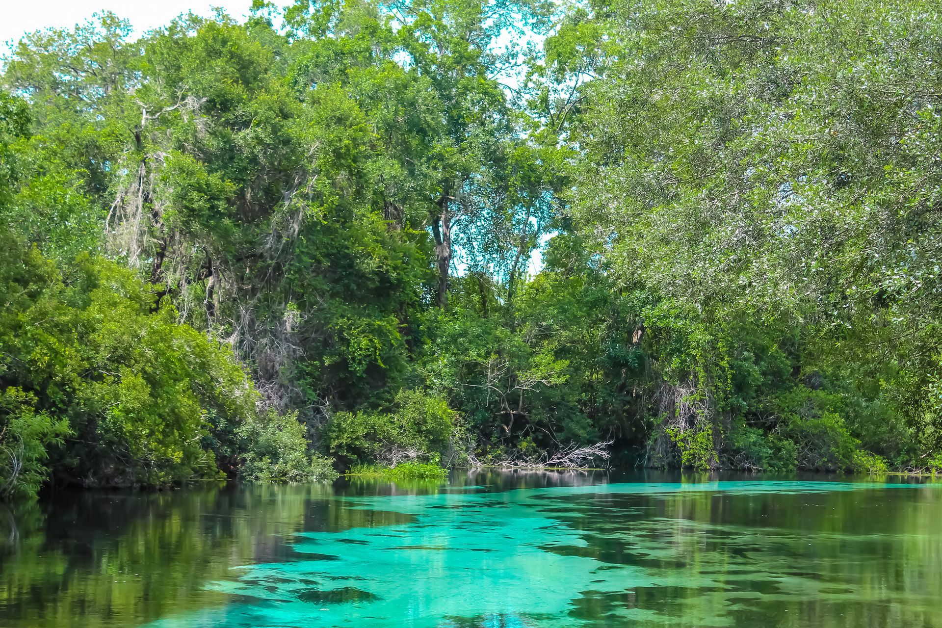 A vibrant turquoise-colored river flows through lush green trees.